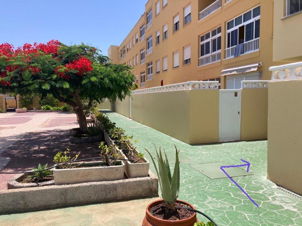Anka Talo Apartment El Medano  Luaran gambar